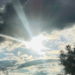 Meet your Posher, Elisia